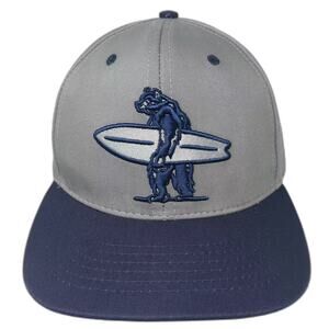 Everyday California Snapback Hat Gray Blue Embroidered Bear Surfboard OSFM Flat